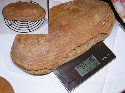 chl806.jpg